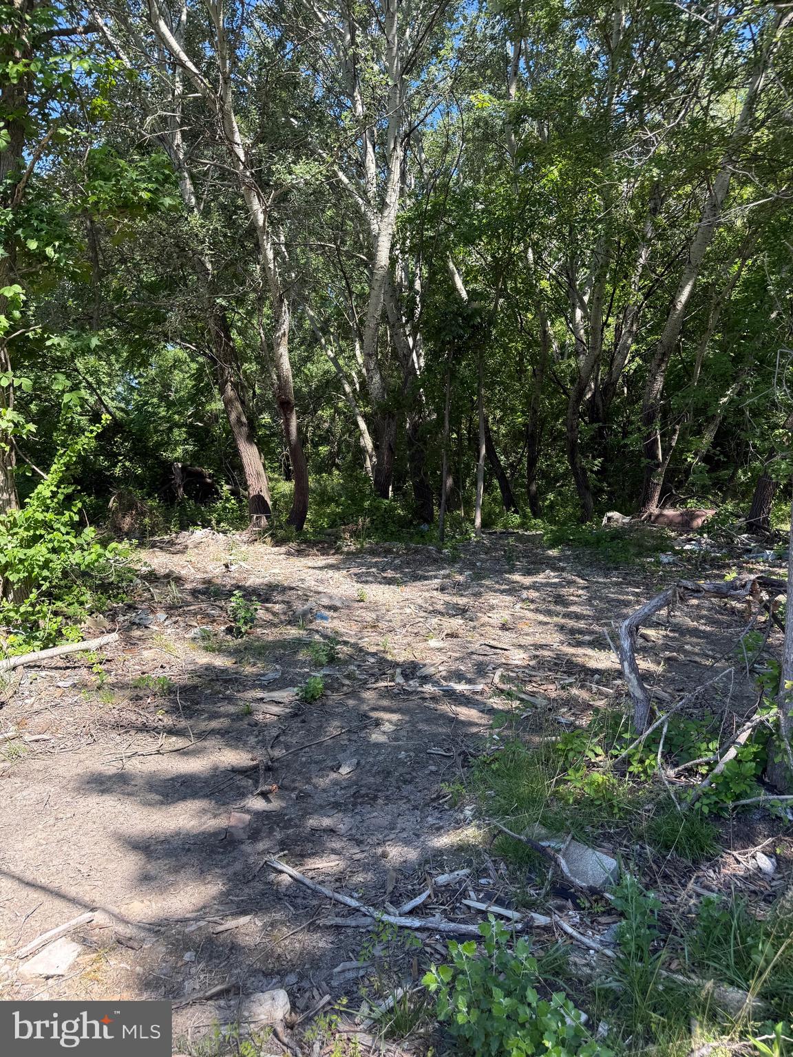 105 BARCLAY CUTOFF ROAD