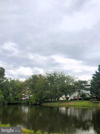 1403 MARION QUIMBY DRIVE