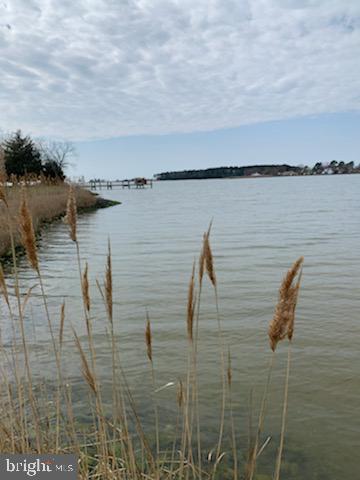Bar Neck Rd