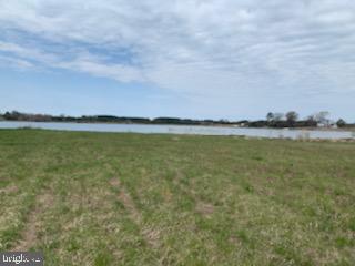 Bar Neck Rd