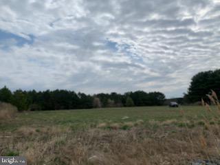 Bar Neck Rd