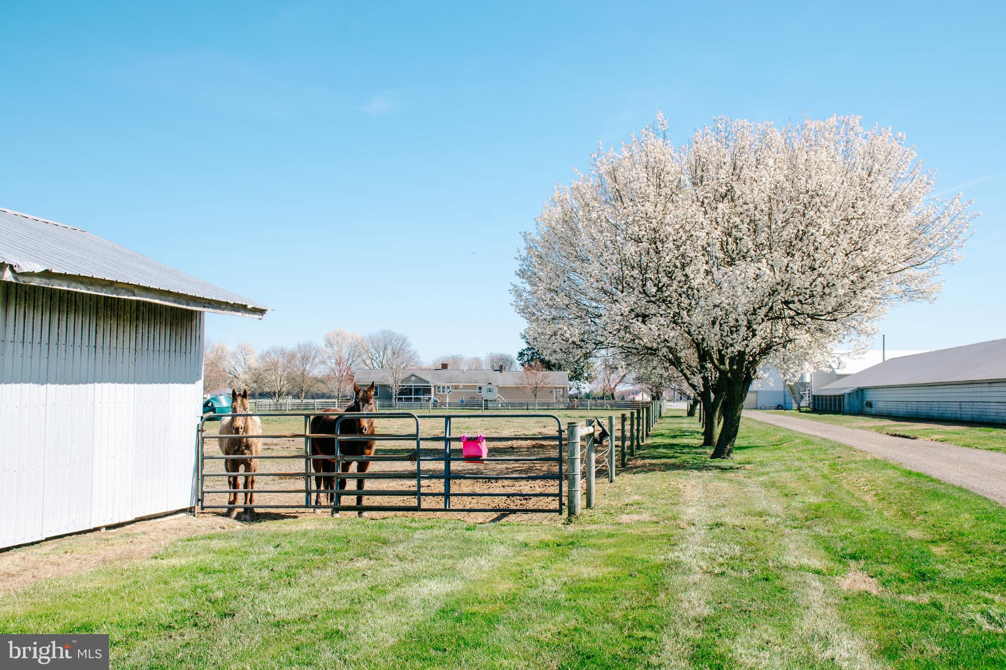 11034 Kittys Corner Rd