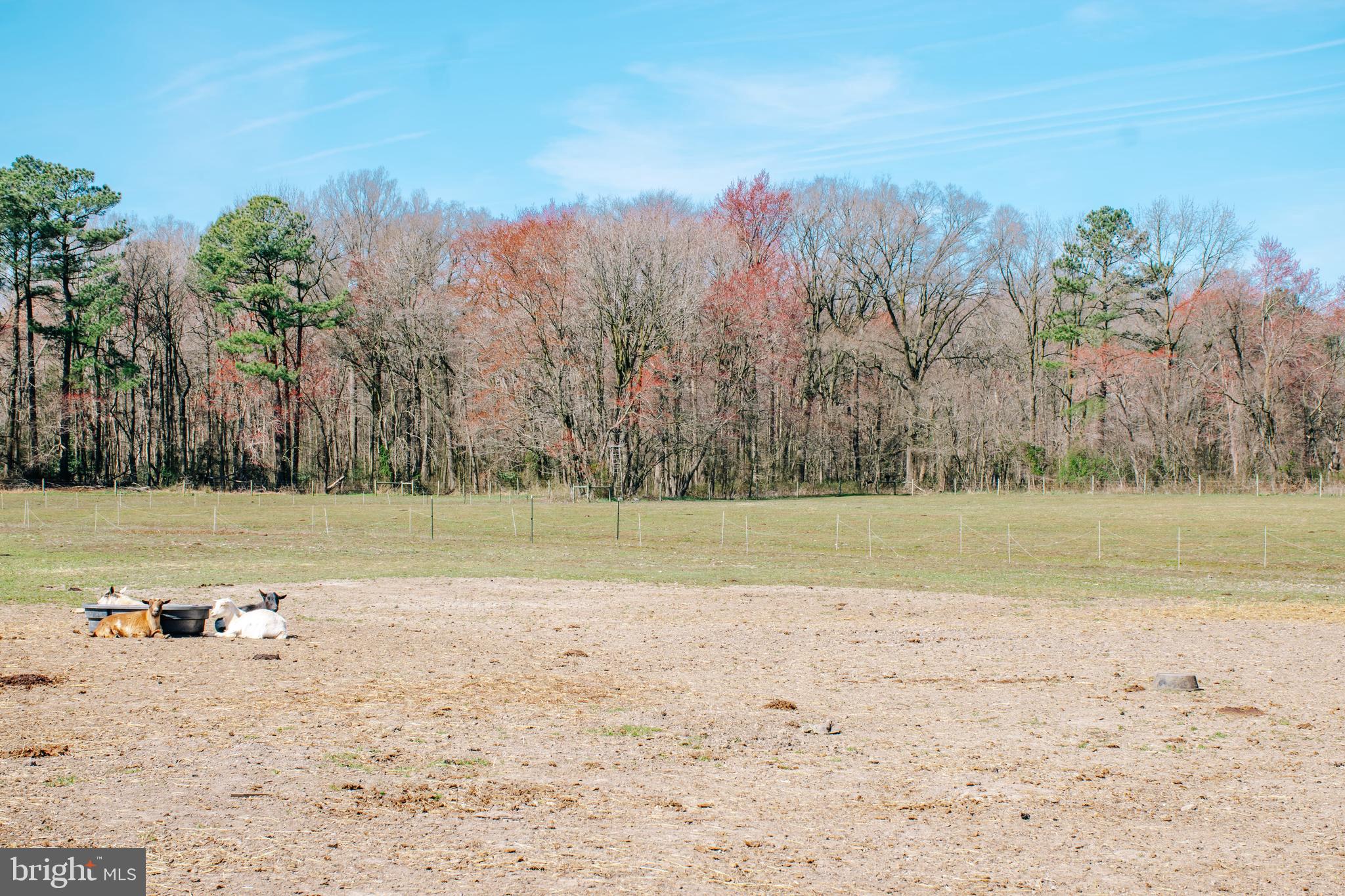 11034 Kittys Corner Rd