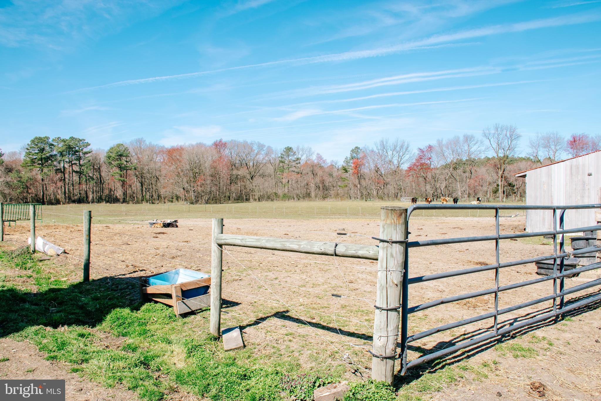 11034 Kittys Corner Rd