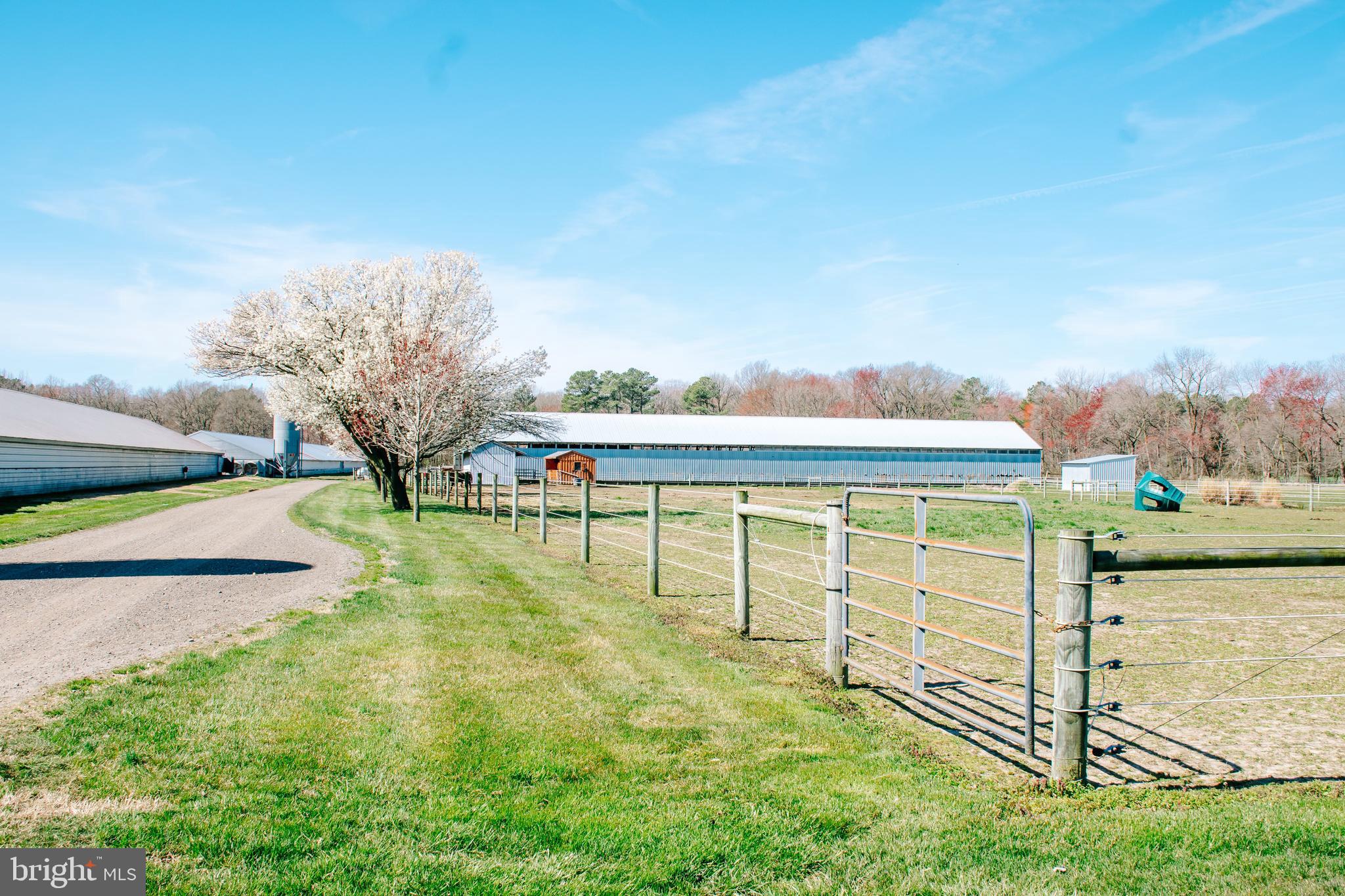 11034 Kittys Corner Rd