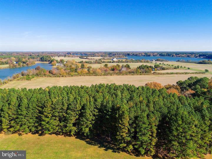 Map 31 G3 Parcel 66 Lot 4 Jane Lowe Rd