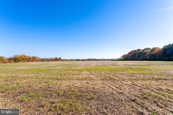 Map 31 G3 Parcel 66 Lot 4 Jane Lowe Rd