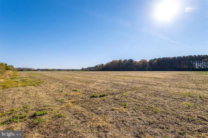 Map 31 G3 Parcel 66 Lot 4 Jane Lowe Rd