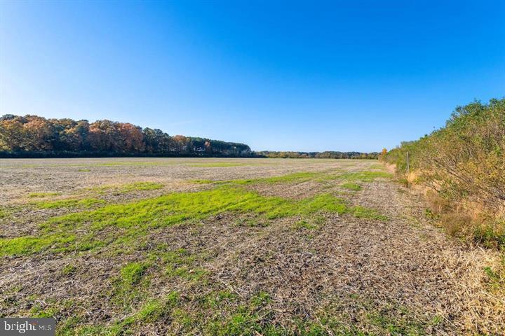 Map 31 G3 Parcel 66 Lot 4 Jane Lowe Rd