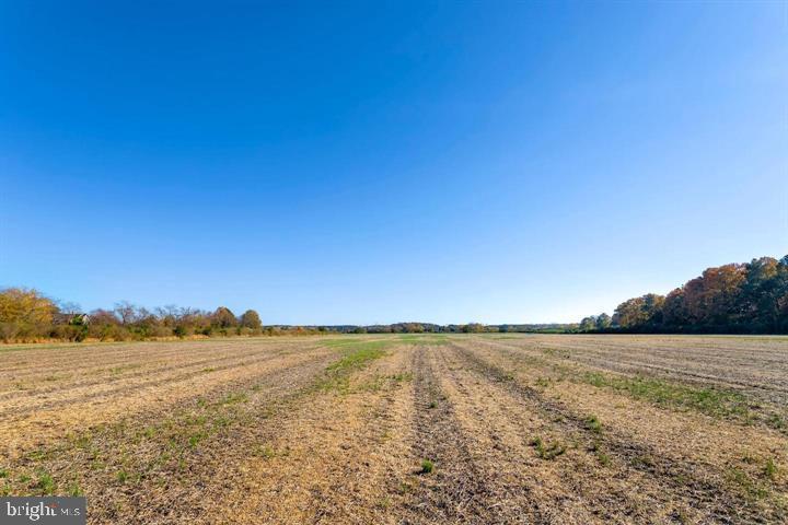 Map 31 G3 Parcel 66 Lot 4 Jane Lowe Rd