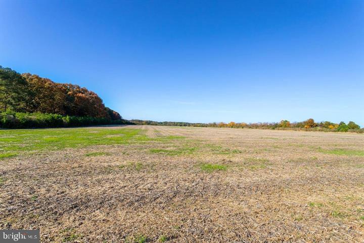 Map 31 G3 Parcel 66 Lot 4 Jane Lowe Rd