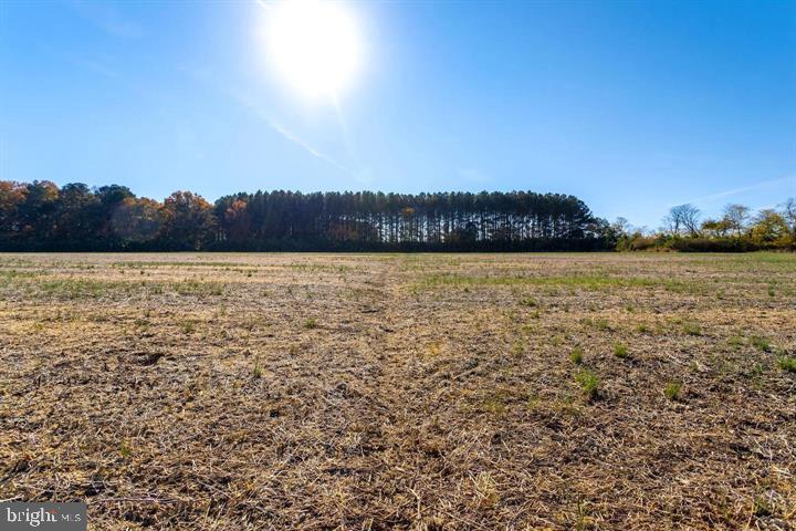 Map 31 G3 Parcel 66 Lot 4 Jane Lowe Rd