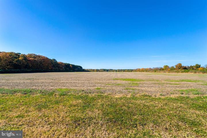 Map 31 G3 Parcel 66 Lot 4 Jane Lowe Rd