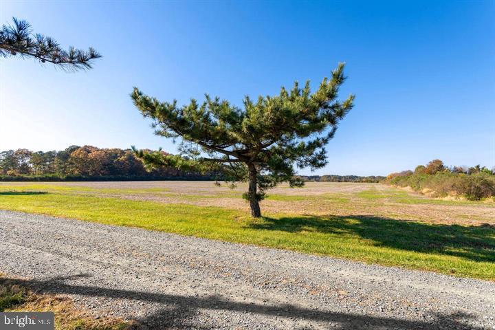 Map 31 G3 Parcel 66 Lot 4 Jane Lowe Rd