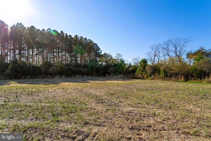 Map 31 G3 Parcel 66 Lot 4 Jane Lowe Rd