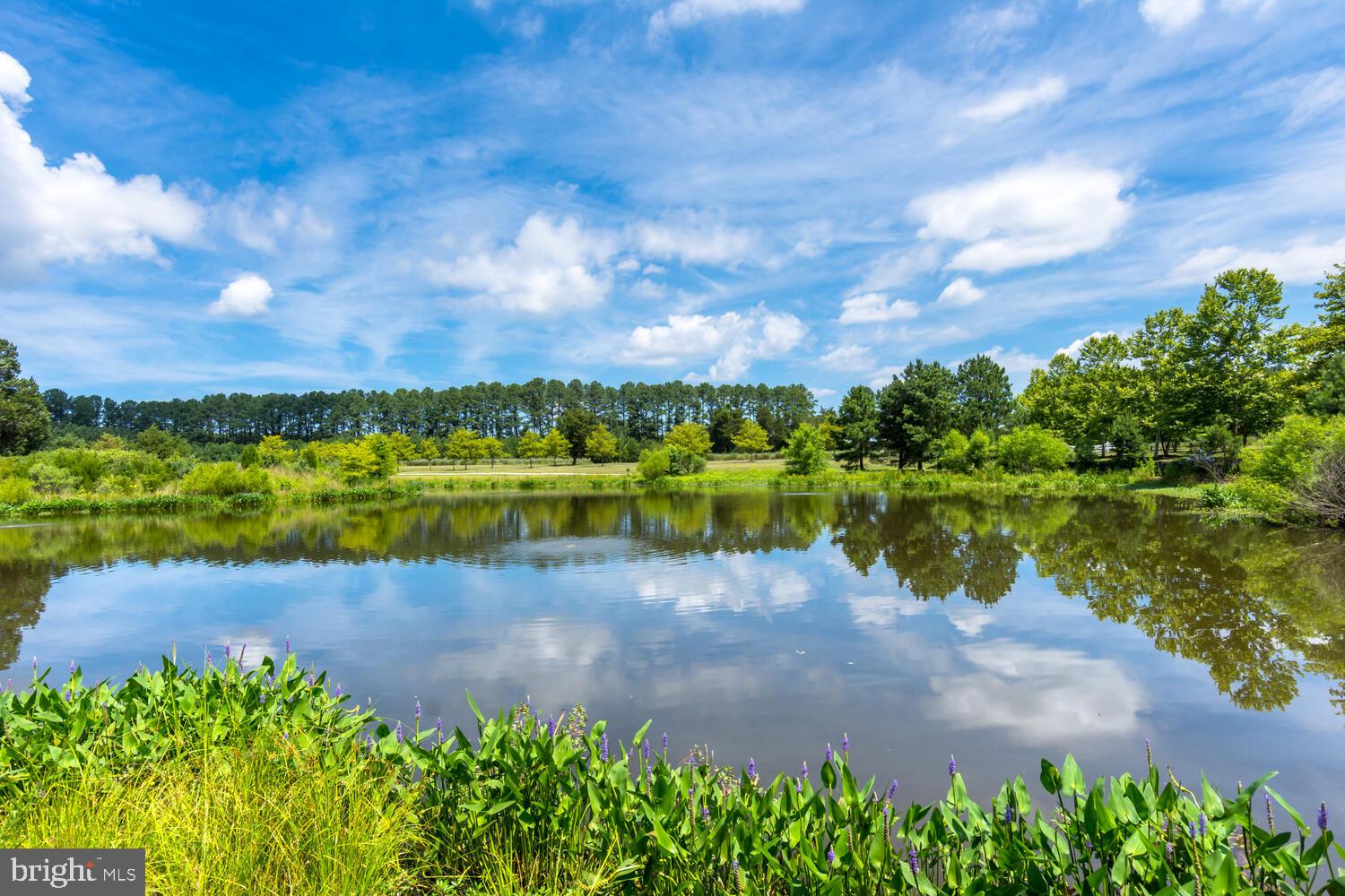 8103 Fox Squirrel Way