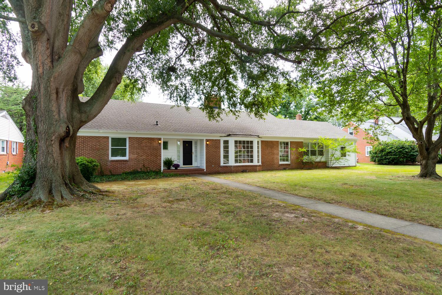 504 Trippe Ave