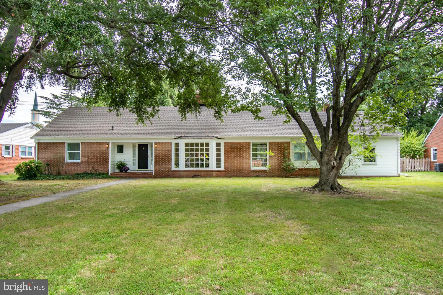 504 Trippe Ave