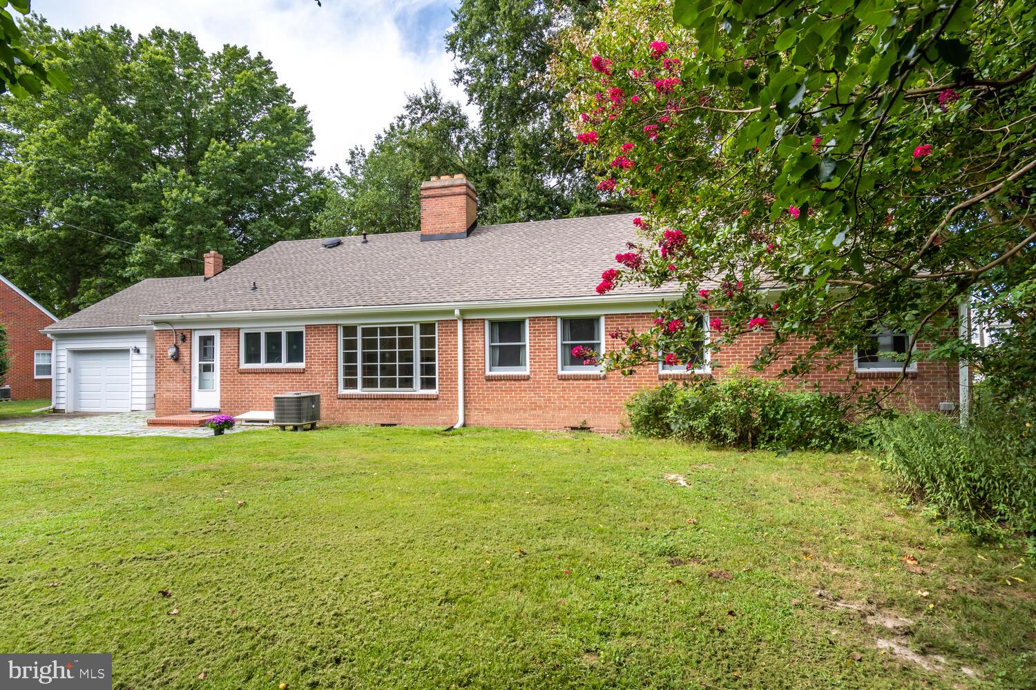 504 Trippe Ave