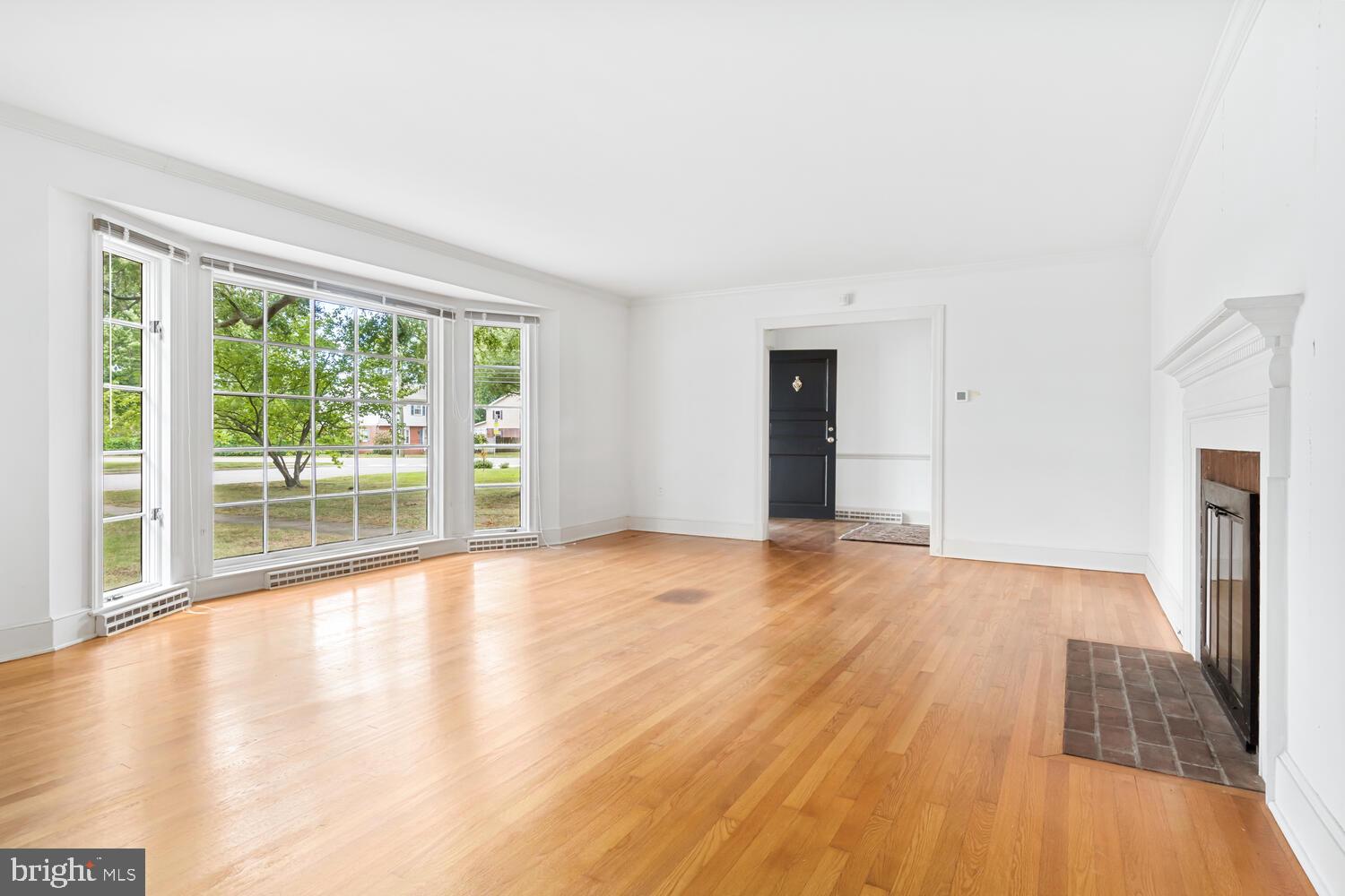 504 Trippe Ave
