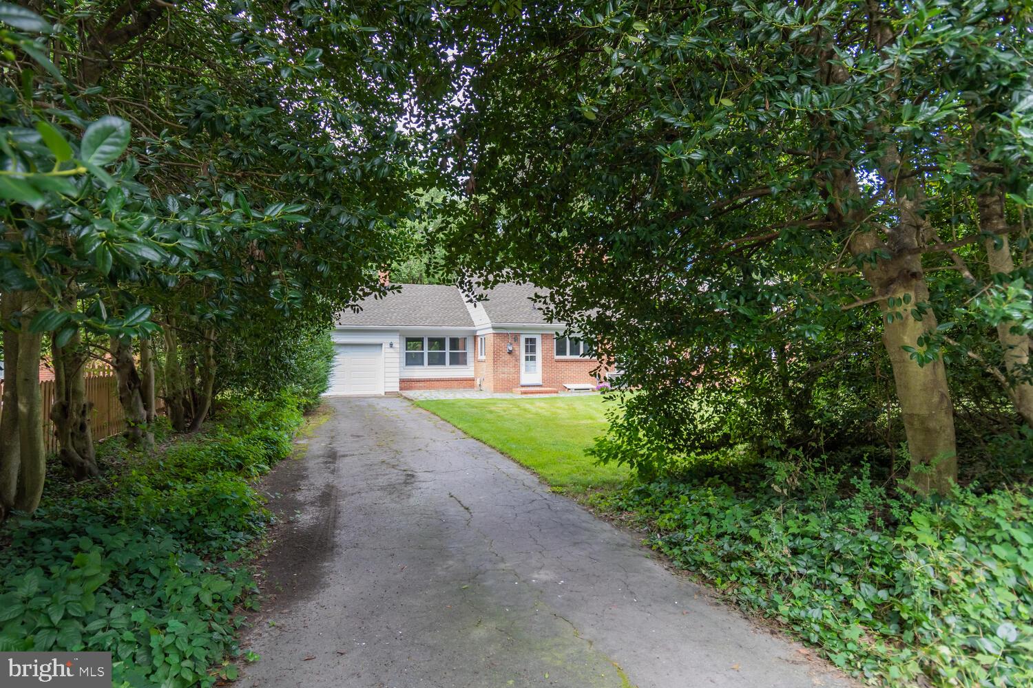 504 Trippe Ave