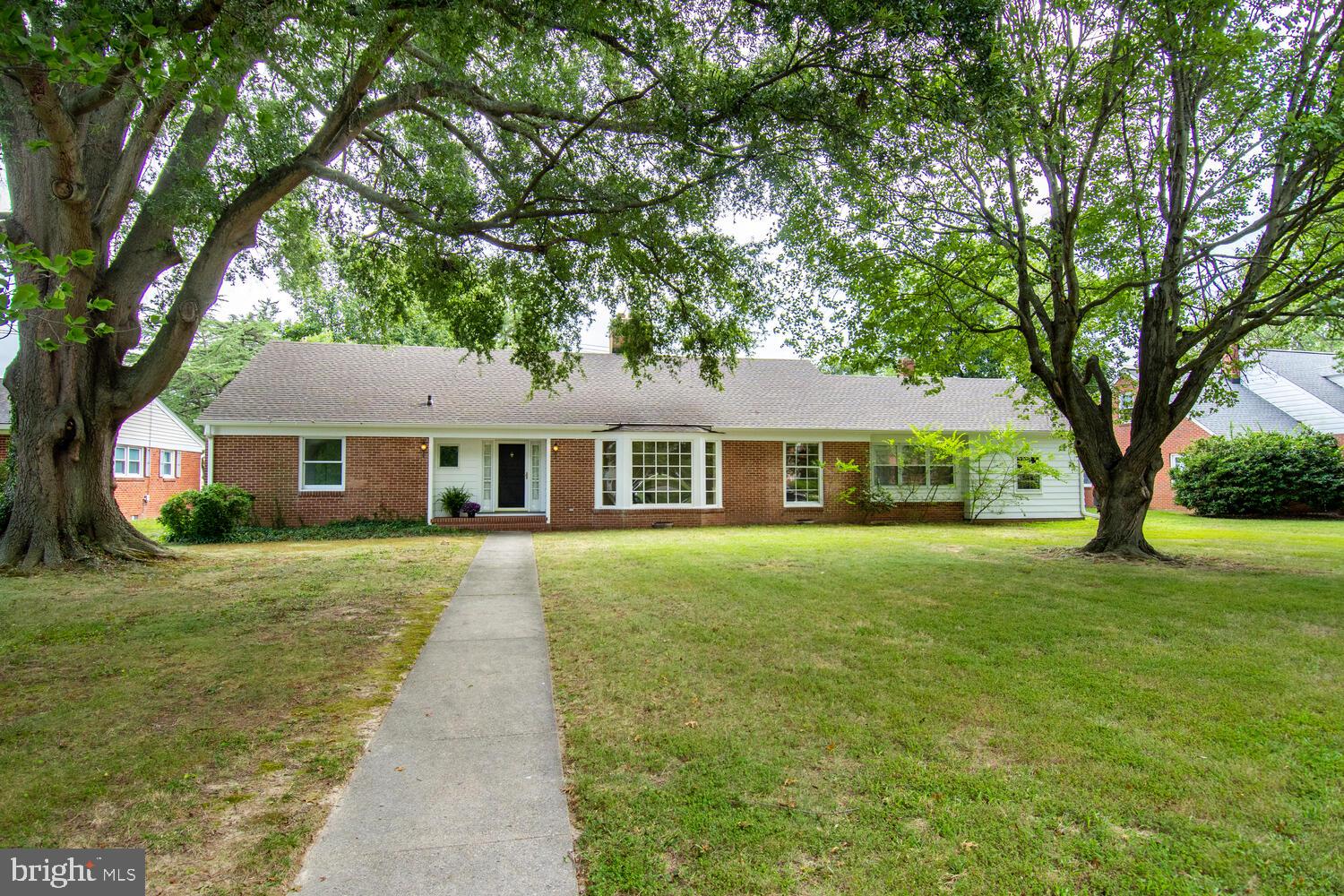 504 Trippe Ave