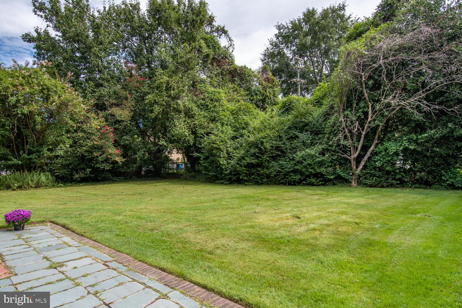 504 Trippe Ave