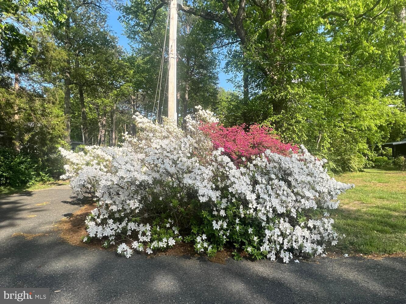 10536 Miracle House Cir