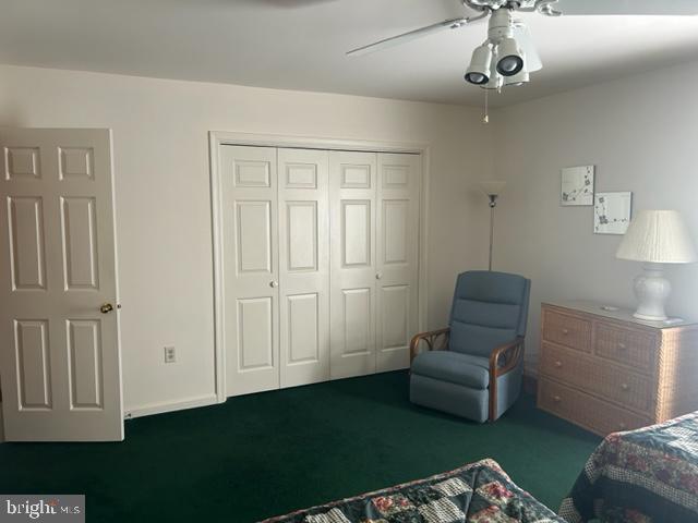 24362 Widgeon Plane #2