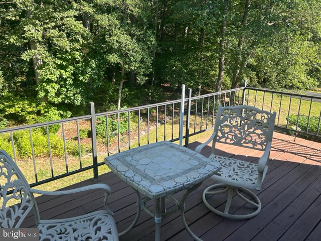 24362 Widgeon Plane #2