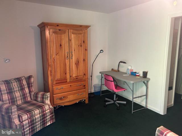 24362 Widgeon Plane #2