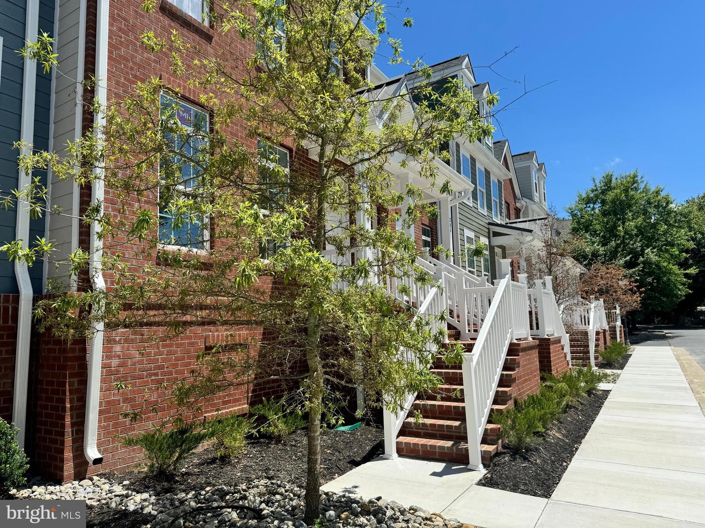 300 Dixon St #205