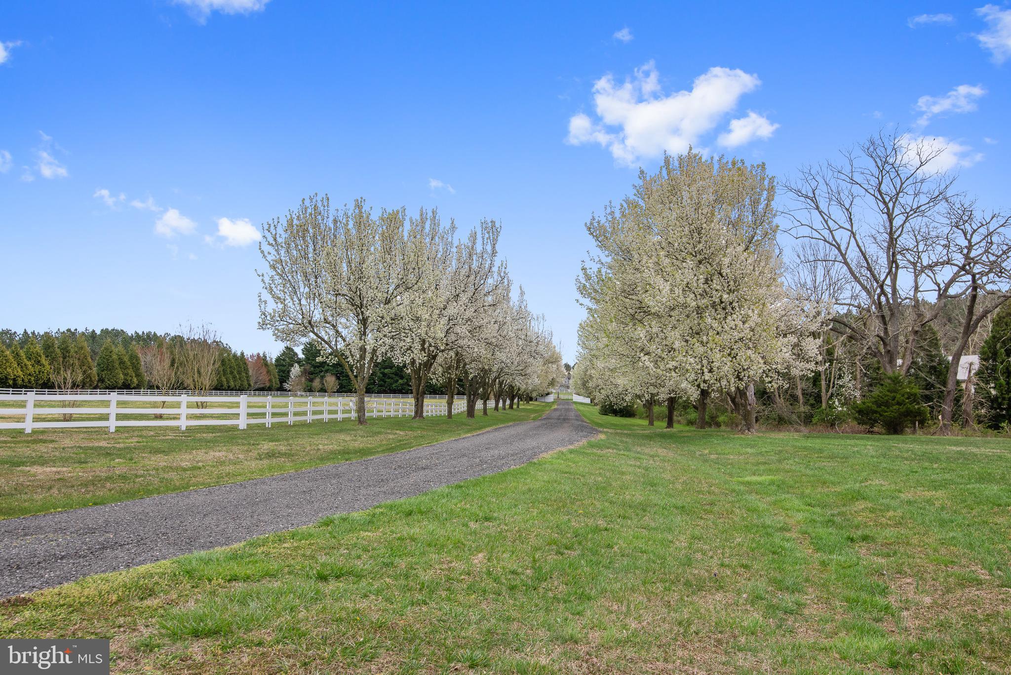 29521 Porpoise Creek Rd