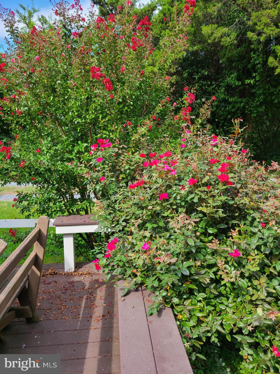 5879 Tilghman Island Rd