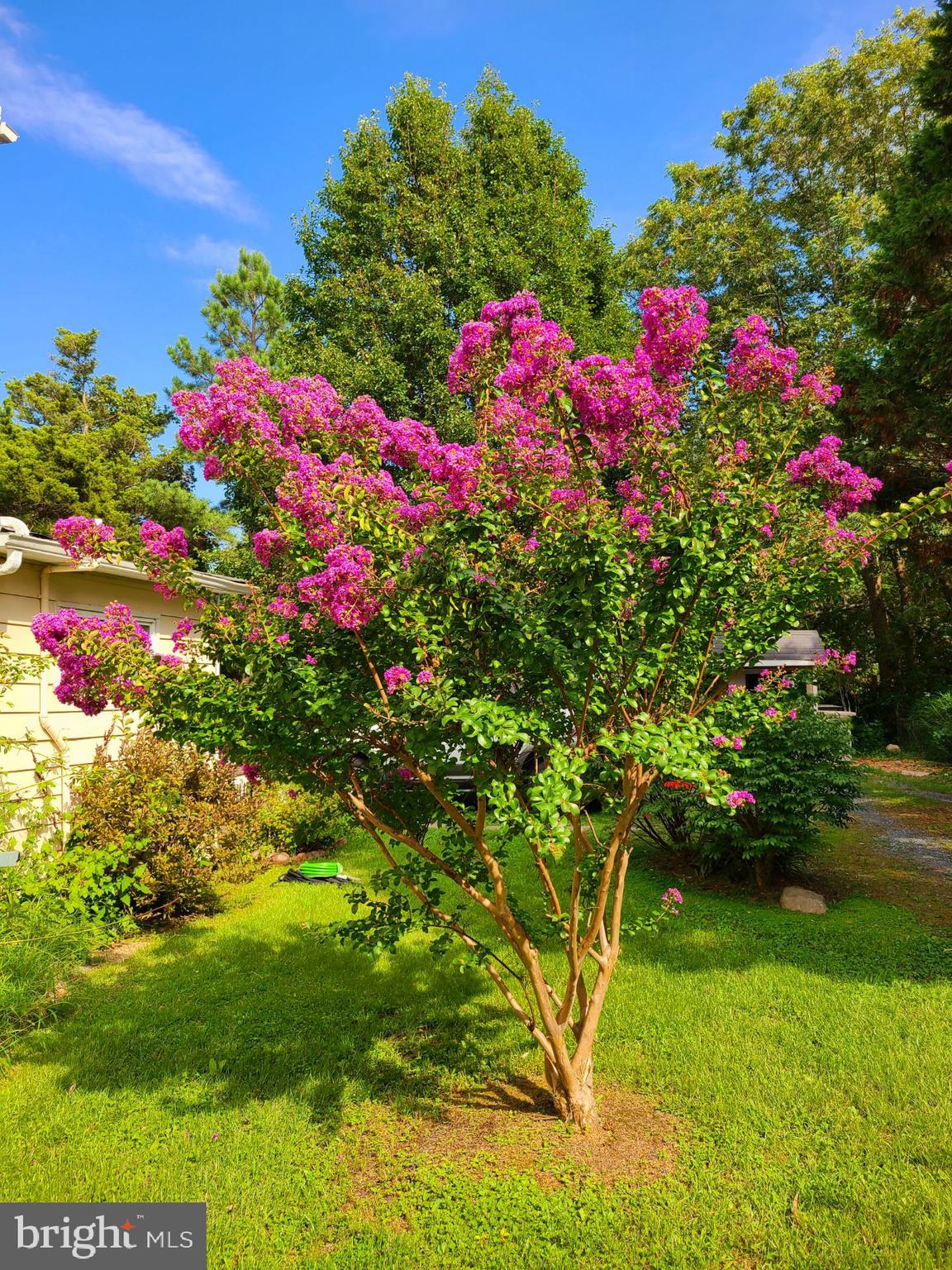 5879 Tilghman Island Rd