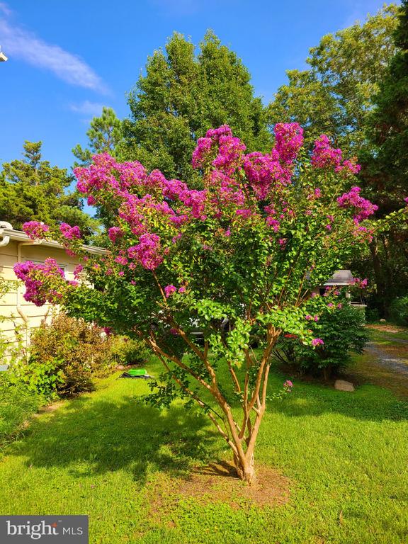 5879 Tilghman Island Rd