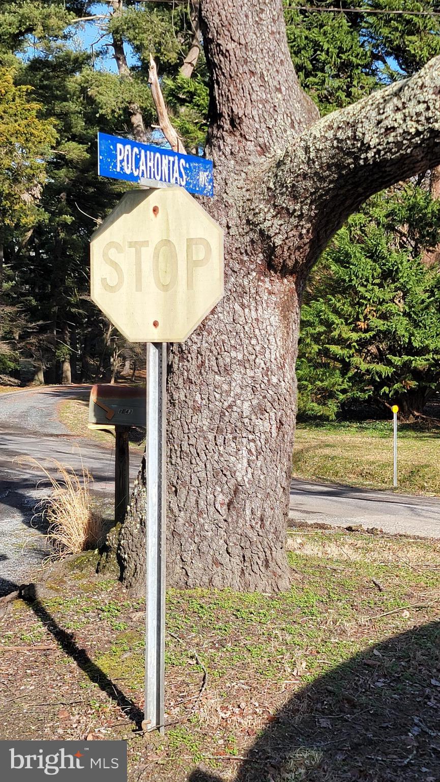 Pocahontas Ave