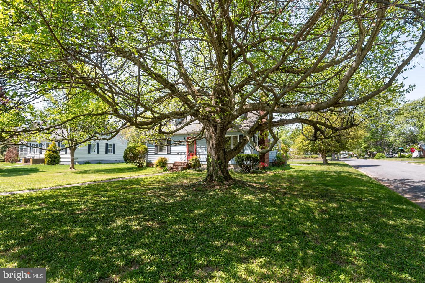 415 Arbor Pl