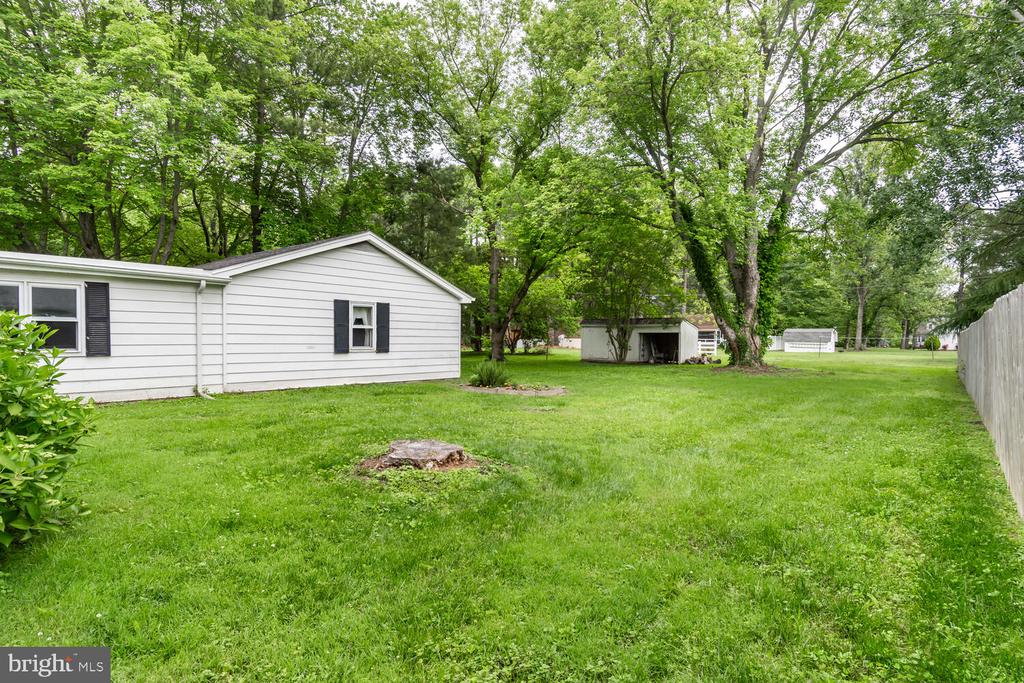 1113 Jefferson Ave