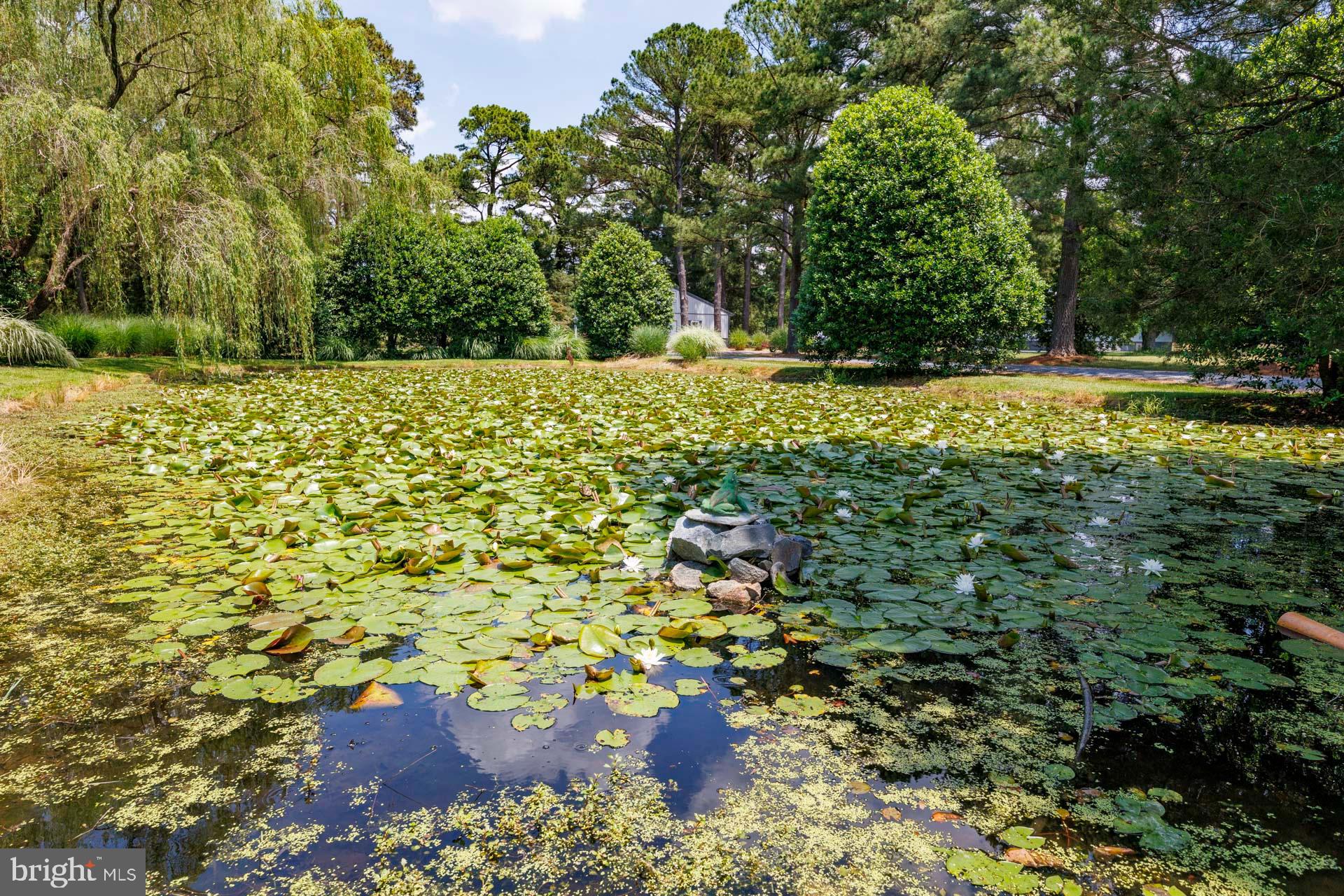 24917 W Ferry Neck Rd