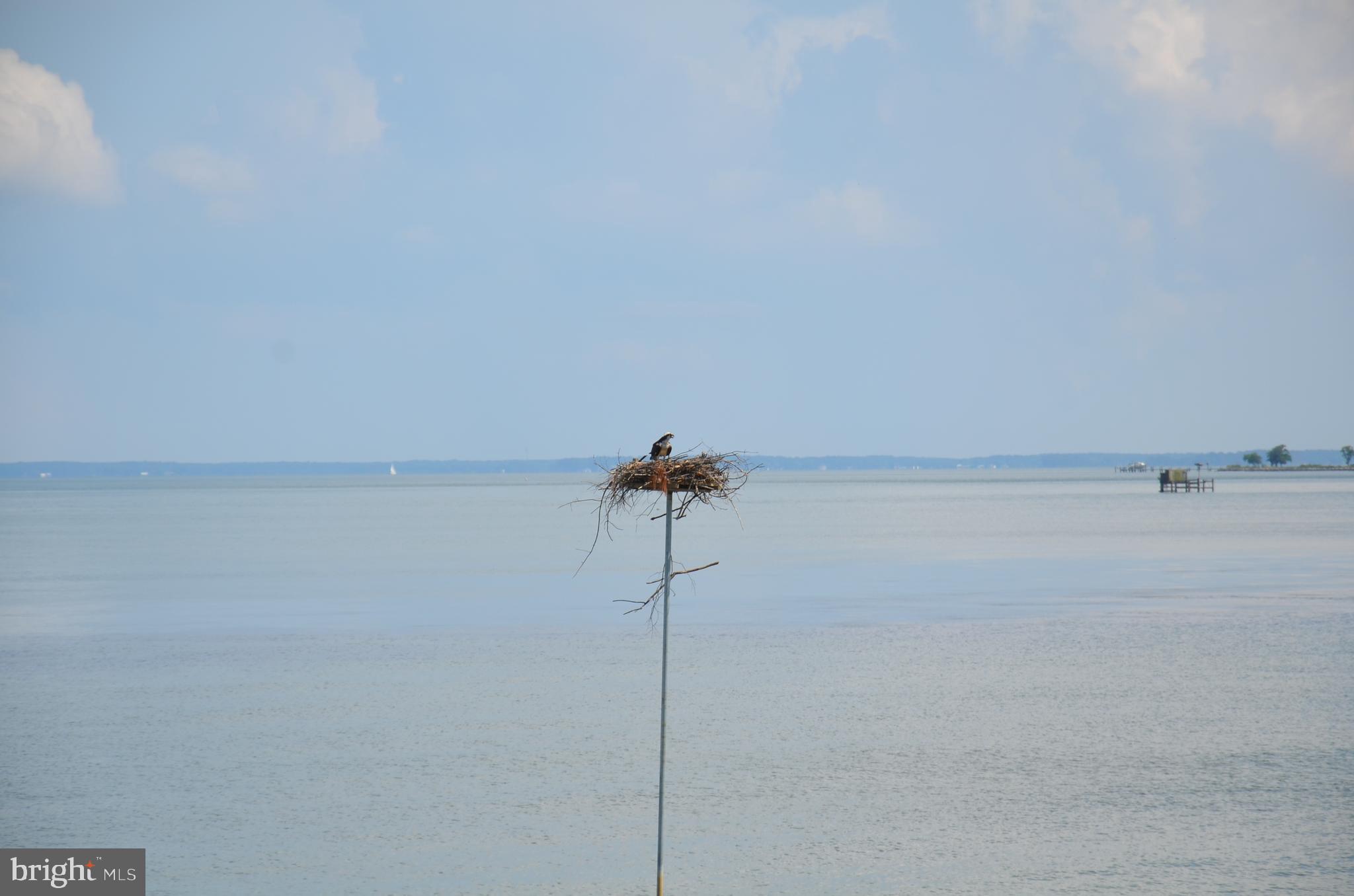 21501 Island Club Rd