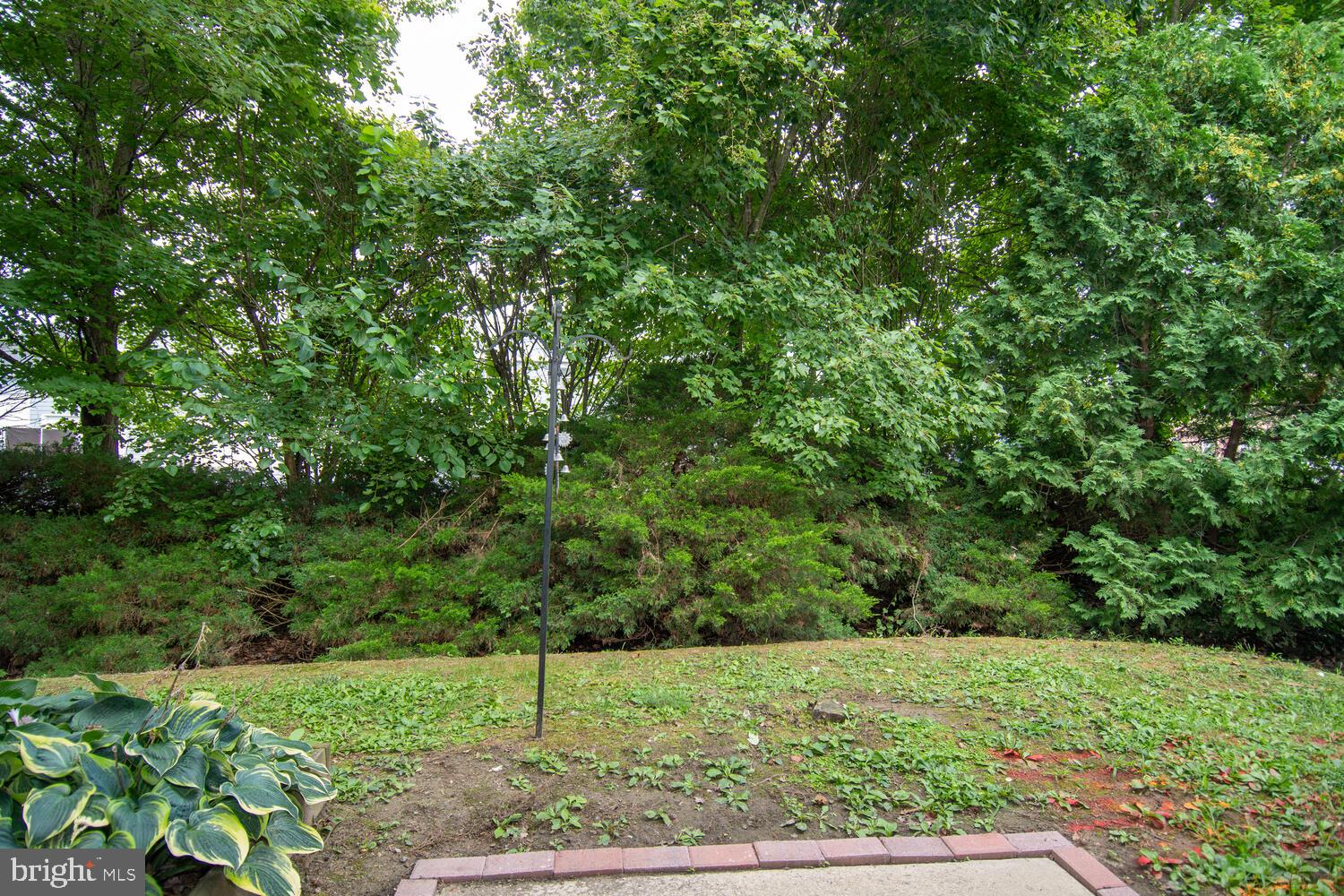 510 Brookletts Ave #201