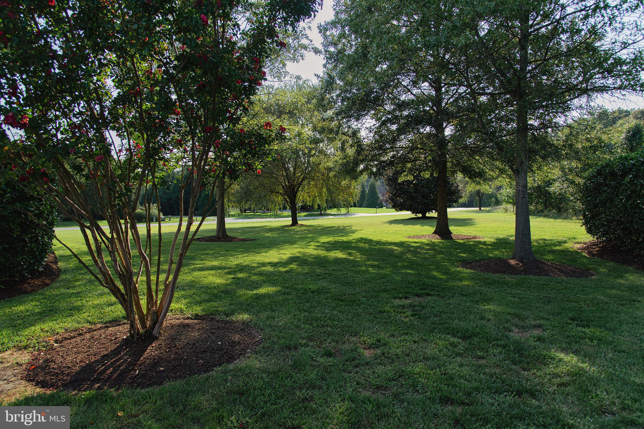 29518 Skipton Estates Dr