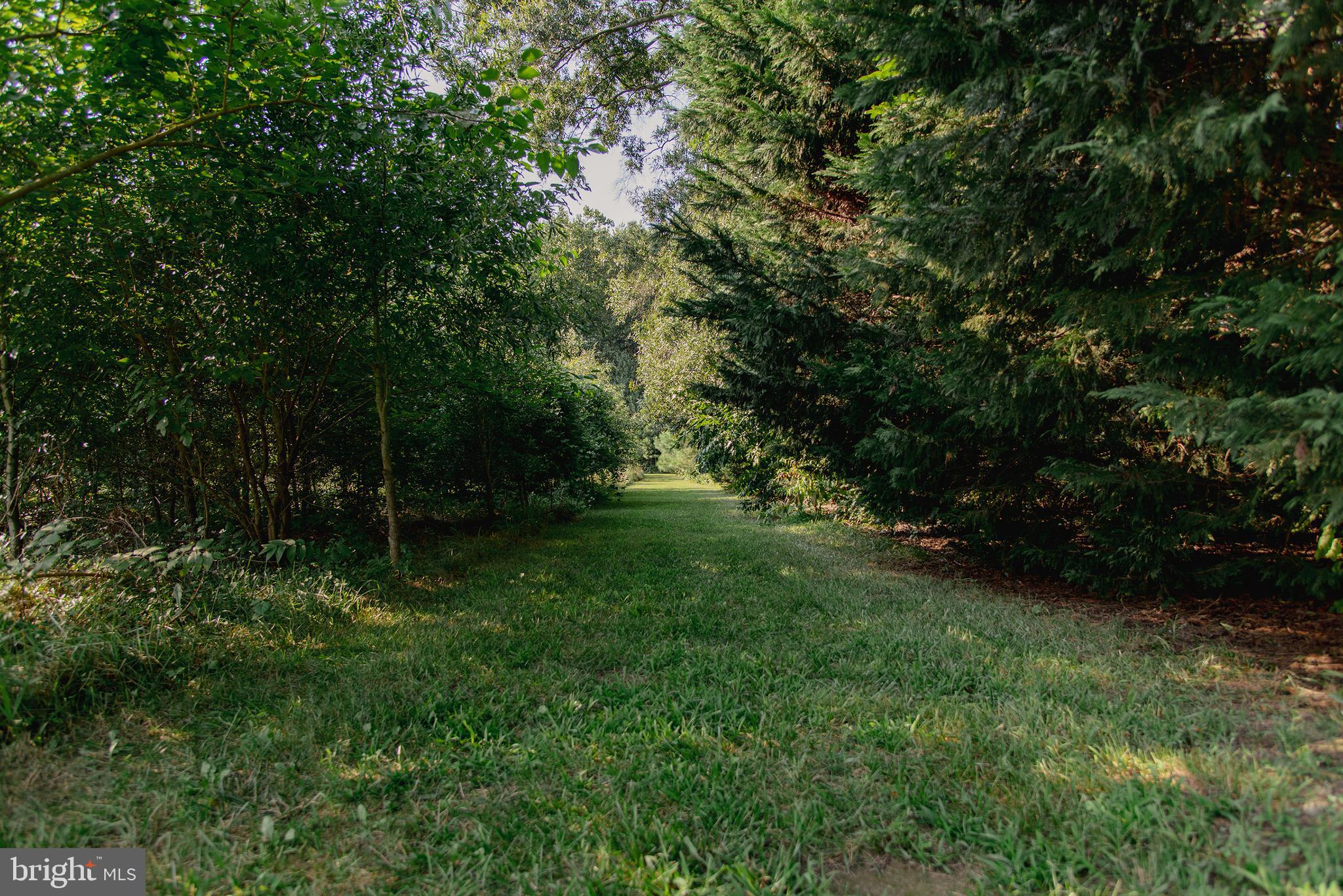 29518 Skipton Estates Dr