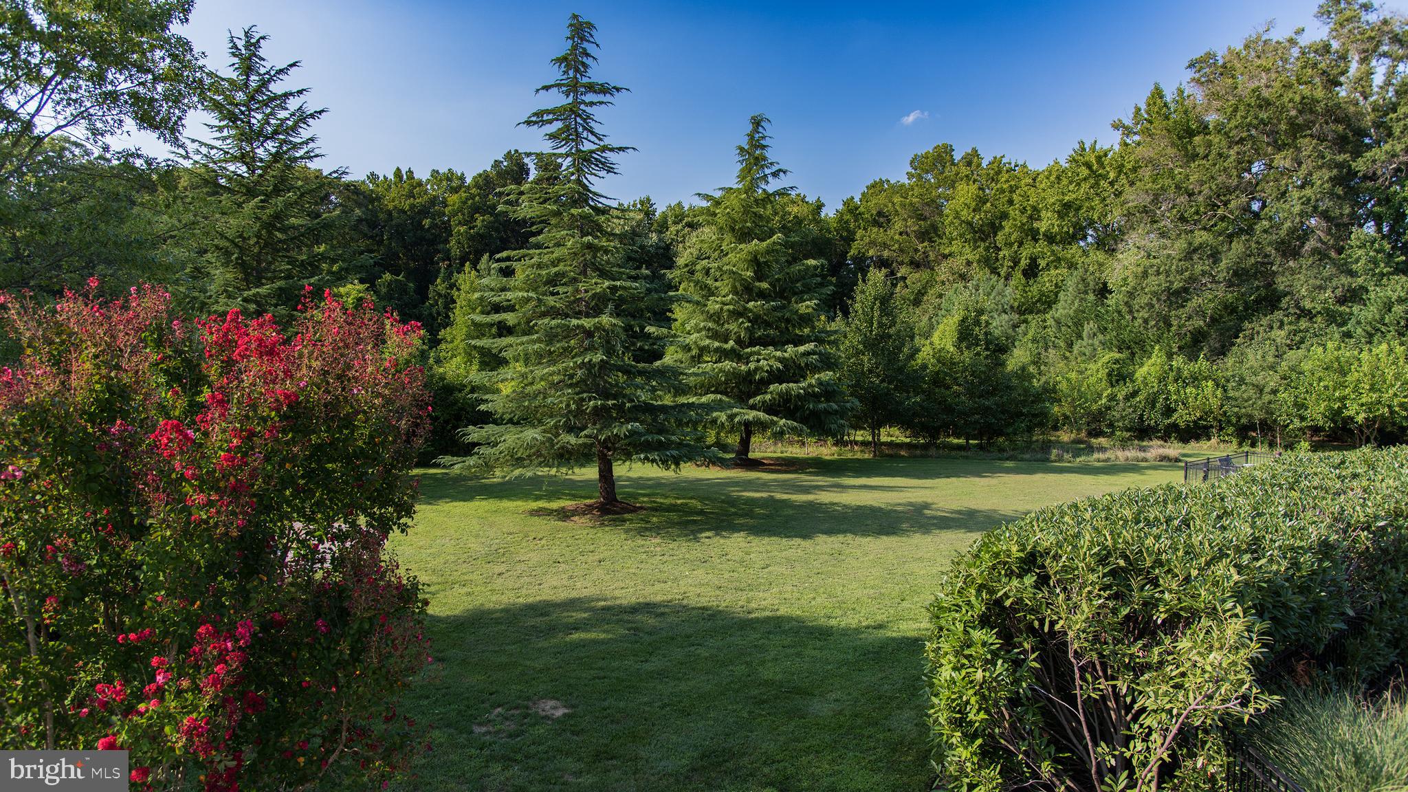 29518 Skipton Estates Dr