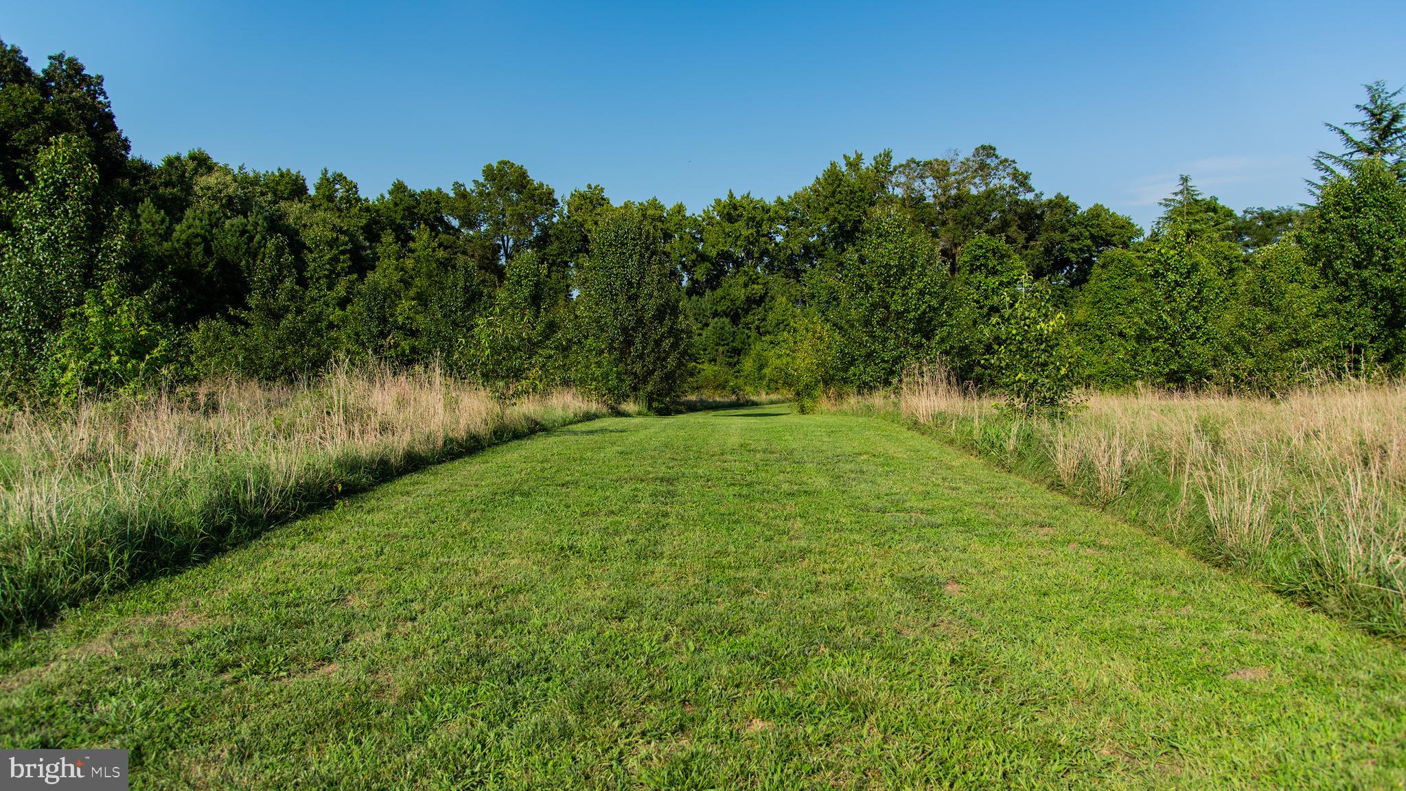 29518 Skipton Estates Dr