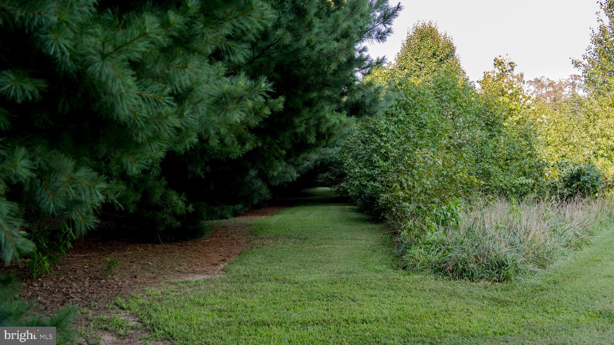 29518 Skipton Estates Dr