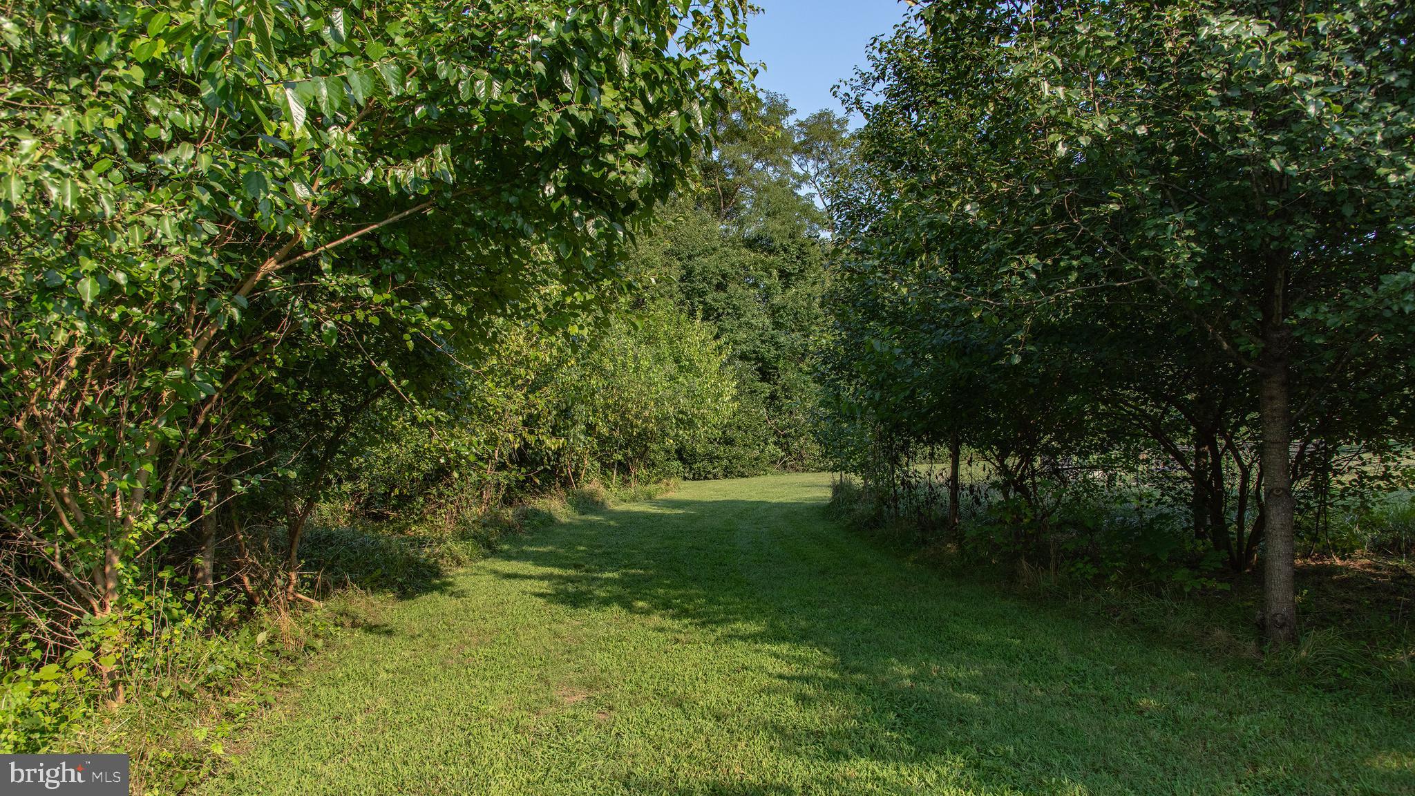 29518 Skipton Estates Dr