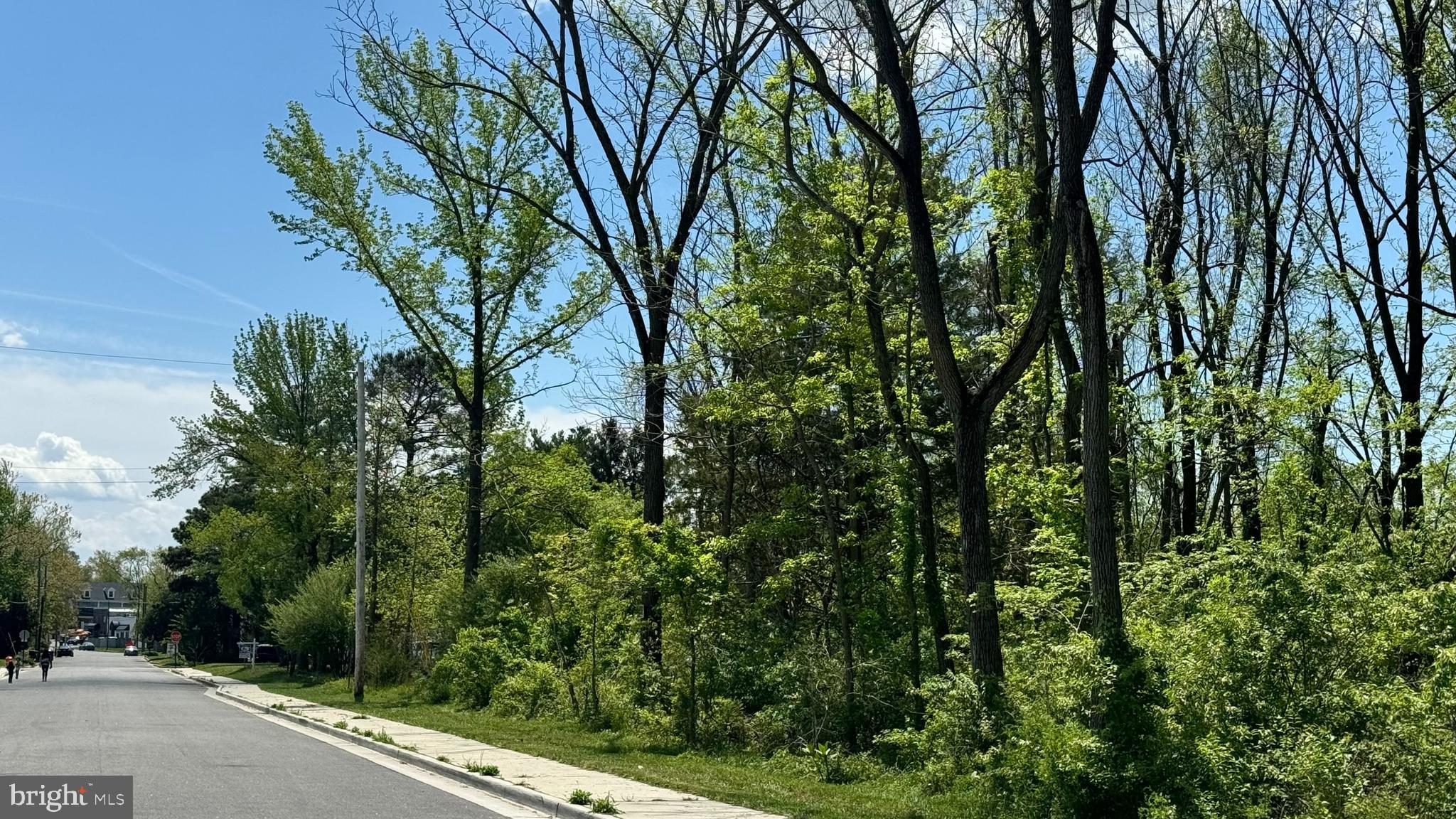Calvert Street