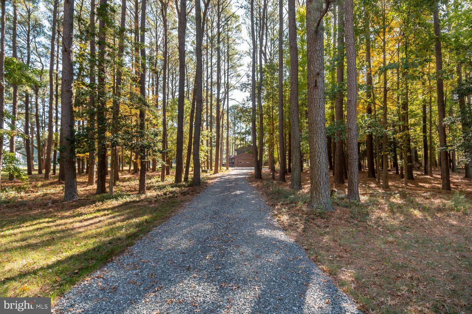 23857 Ebb Point Rd